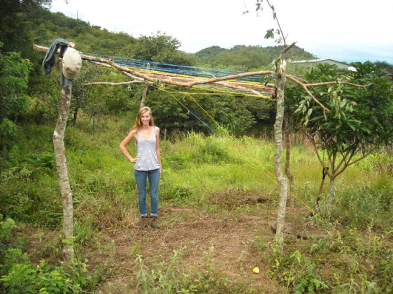agriculture volunteers build passionfruit trellis